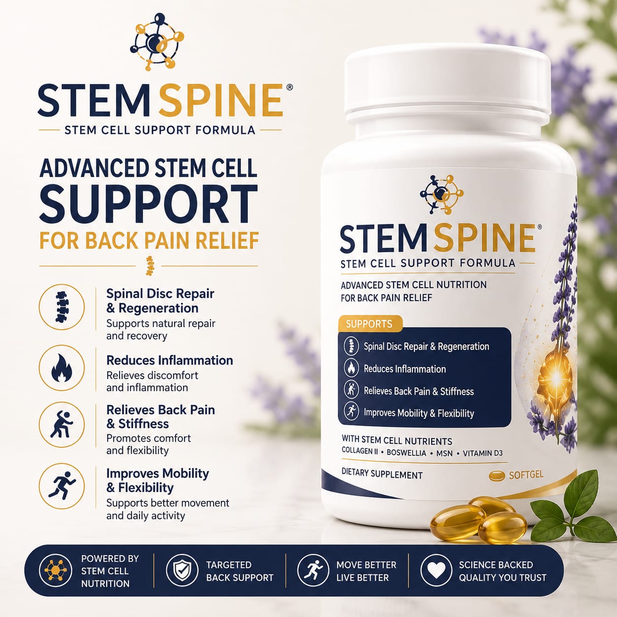 STEM SPINE