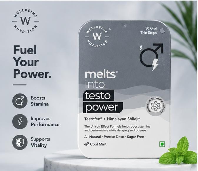 MELT INTO TESTO POWER